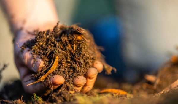 1-compost-aspect-ratio-800-500