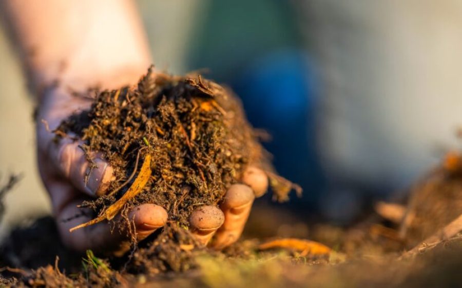 1-compost-aspect-ratio-800-500