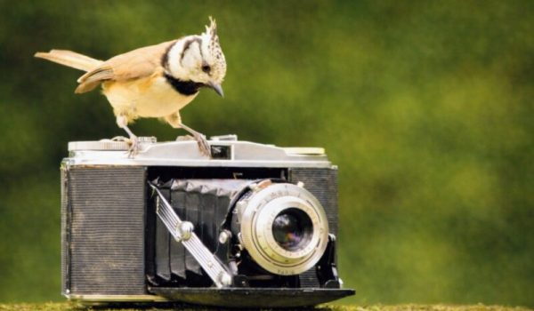 1000051932-aspect-ratio-800-500