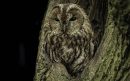 1000060242-scaled-aspect-ratio-800-500