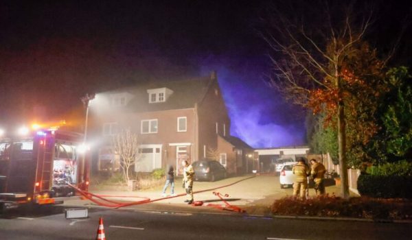 1000086722-aspect-ratio-800-500-aspect-ratio-800-500