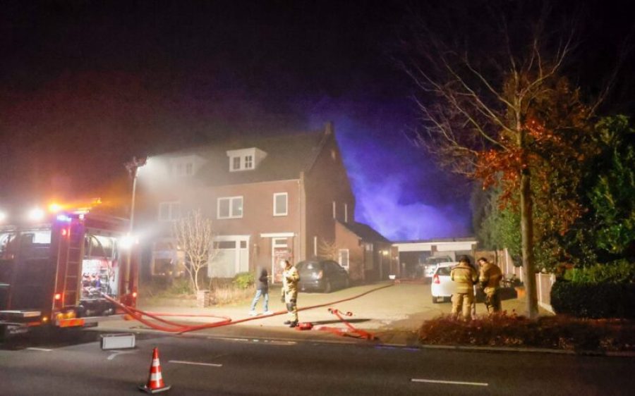 1000086722-aspect-ratio-800-500-aspect-ratio-800-500