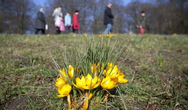 1052837-1-aspect-ratio-800-500