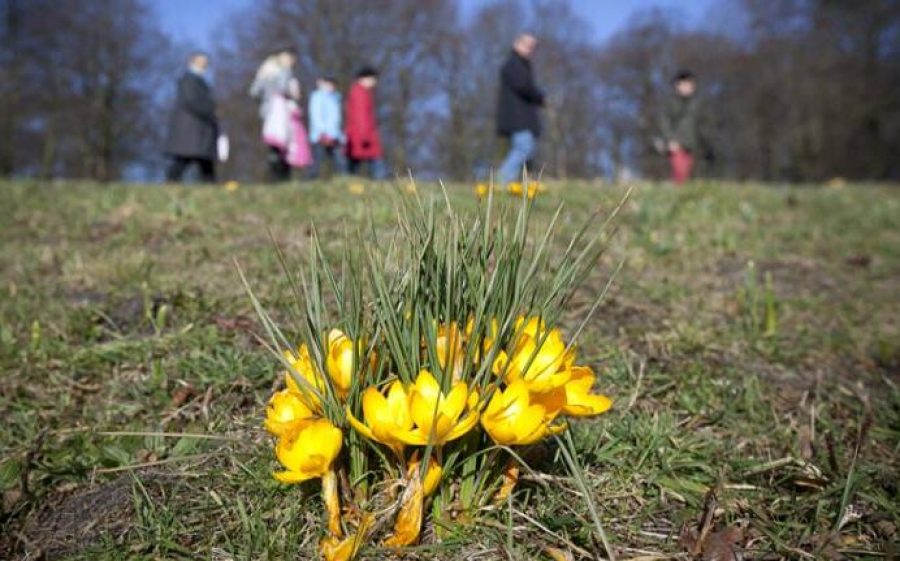 1052837-1-aspect-ratio-800-500