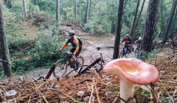 141637861_3461134023985442_4771622915257924987_n-aspect-ratio-800-500