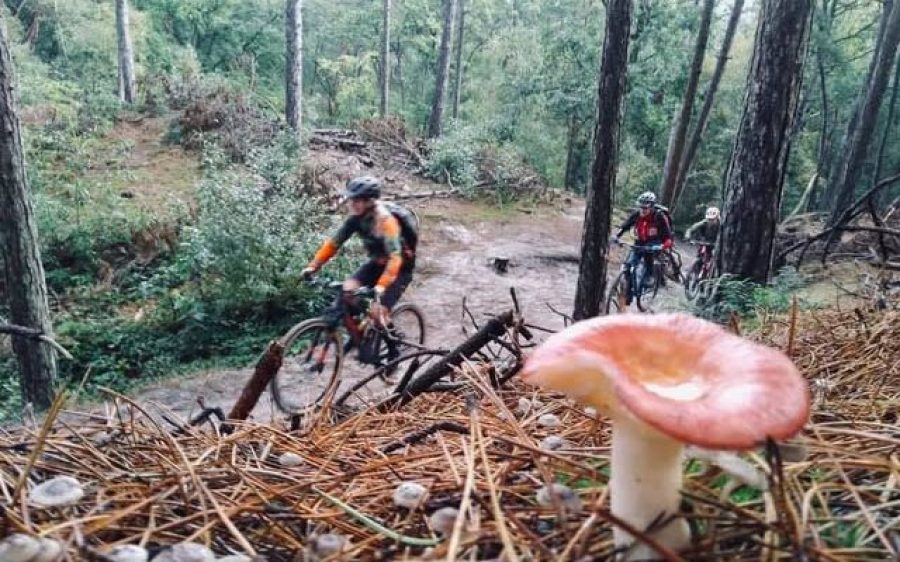 141637861_3461134023985442_4771622915257924987_n-aspect-ratio-800-500