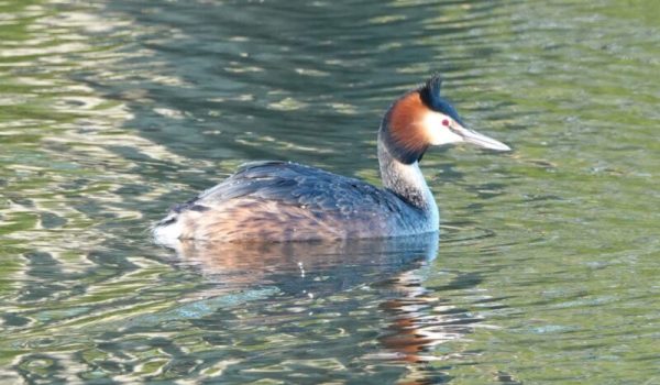 148ccda7-0e23-4af3-af45-cd6ad6acd663-1_all_70619-aspect-ratio-800-500