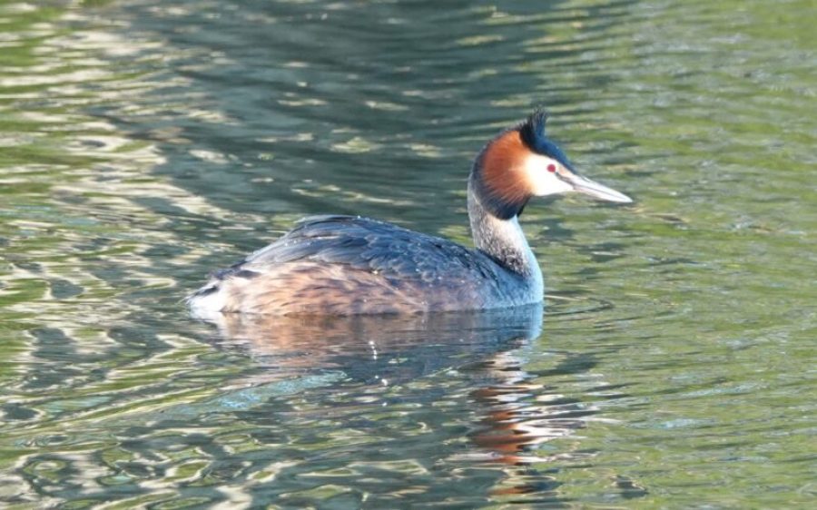 148ccda7-0e23-4af3-af45-cd6ad6acd663-1_all_70619-aspect-ratio-800-500