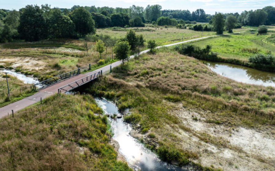 14DJI_0095-scaled-aspect-ratio-800-500