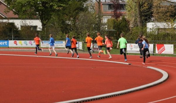 1629a50d-4b00-46b9-8f92-79ee64cf04b2-aspect-ratio-800-500