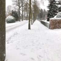 2025-03-Foto-Sneeuw-in-Lieshout-scaled-aspect-ratio-500-500