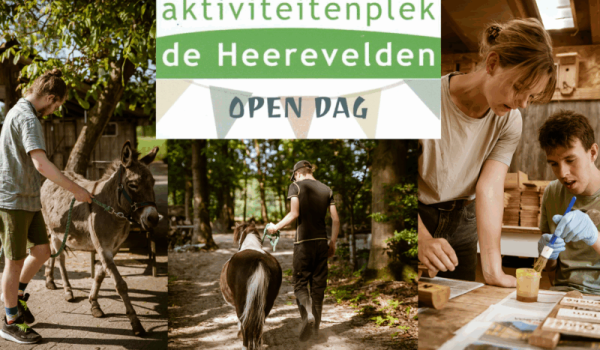 2025-08-24-Handel-open-Dag-De-Heerevelden-10-jaar-@aktiviteitenplekdeheerevelden.nl_-aspect-ratio-800-500