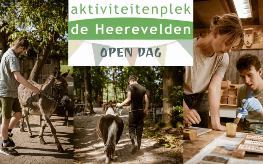 2025-08-24-Handel-open-Dag-De-Heerevelden-10-jaar-@aktiviteitenplekdeheerevelden.nl_-aspect-ratio-800-500