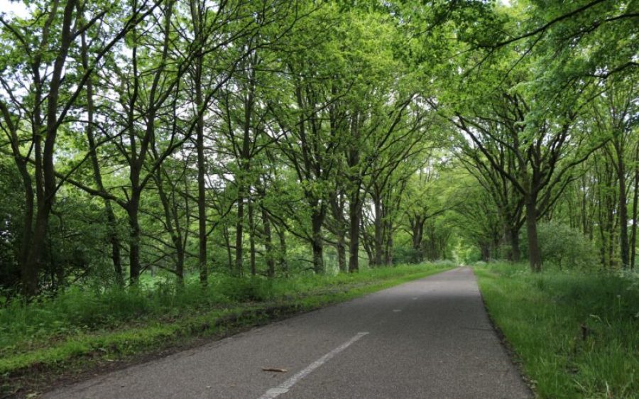 2025-10-04-Heeft-Laarbeek-de-Beste-Doortraproute-aspect-ratio-800-500