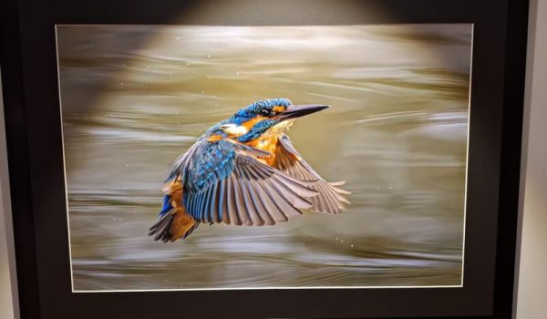 20260124_122328-aspect-ratio-800-500