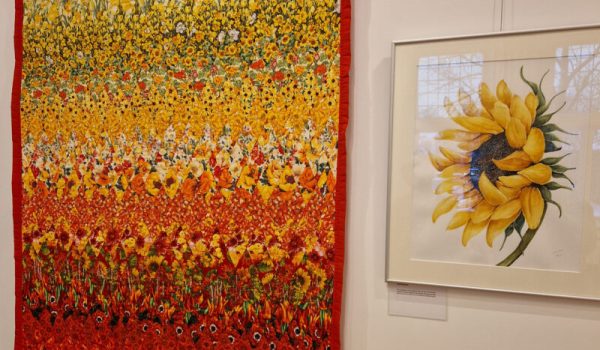 26-01.1000027538.1-aspect-ratio-800-500