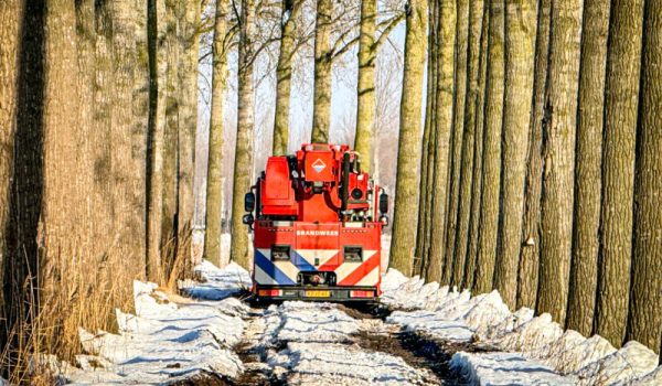 417e3735-1352-44cd-9c42-8fd79d9ed32d-aspect-ratio-800-500