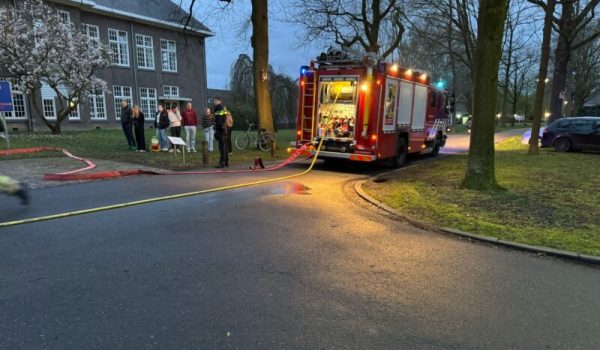 43114e28-cdc4-4bdb-b3d4-f6d2e81111d0-aspect-ratio-800-500-aspect-ratio-800-500