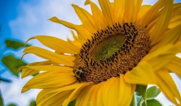 516631157_23919425634352066_1257705305901475402_n-aspect-ratio-800-500