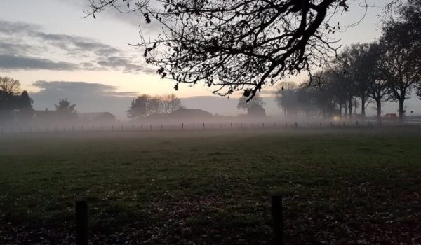 597323550_1326273549541967_8658885351944715033_n-aspect-ratio-800-500