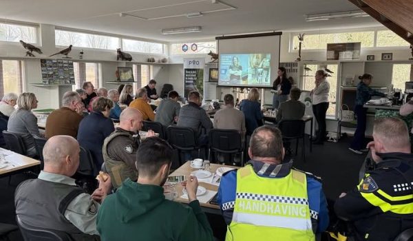 615479923_1374257128076942_8107415039736011710_n-aspect-ratio-800-500