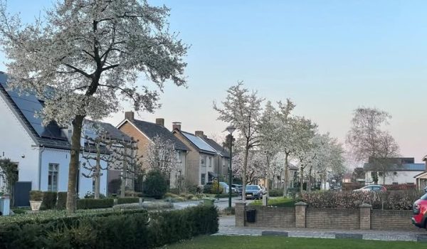 630760599_1378126867689968_8952612404963562035_n-aspect-ratio-800-500