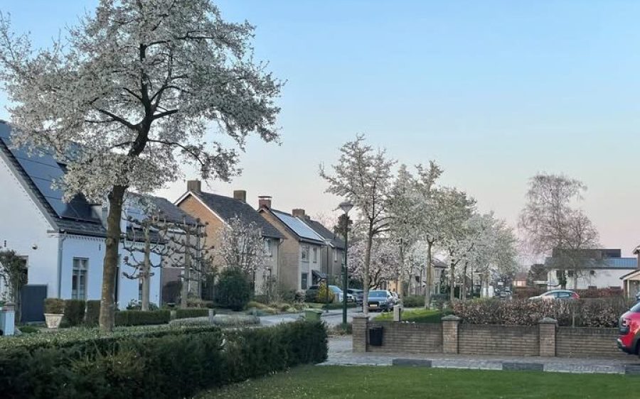 630760599_1378126867689968_8952612404963562035_n-aspect-ratio-800-500