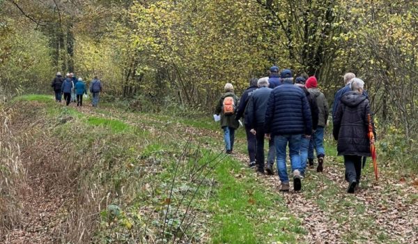 646022508_1507597811374085_9028505317500223_n-aspect-ratio-800-500