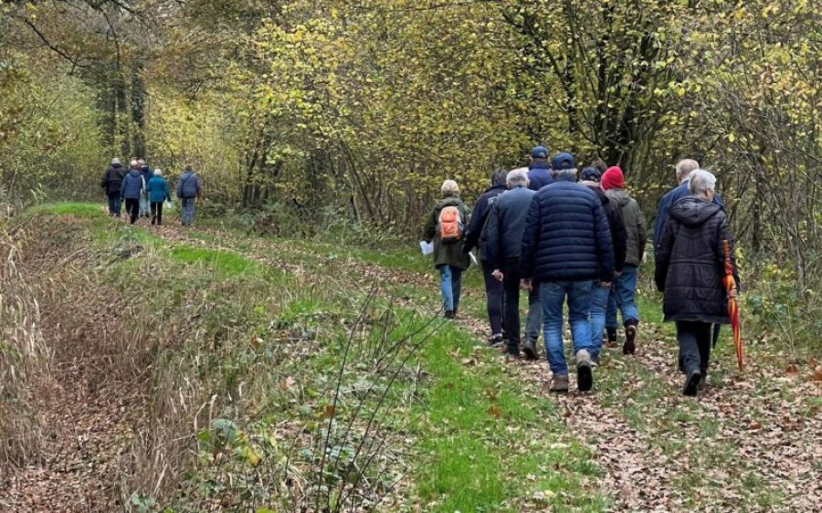 646022508_1507597811374085_9028505317500223_n-aspect-ratio-800-500