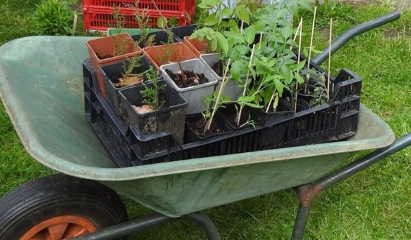 657662137_945430311200458_2563809607869809970_n-aspect-ratio-800-500