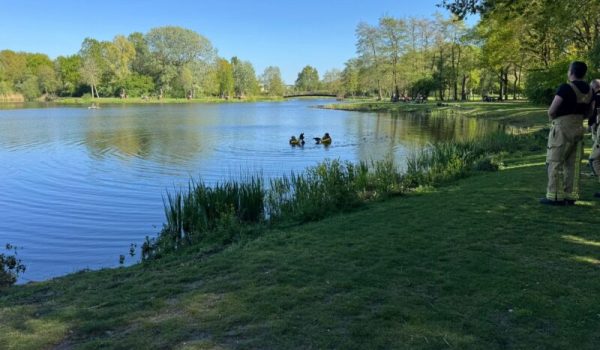 6bba5eb2-9bdd-440f-8eb2-a2f7fd7b5125-aspect-ratio-800-500