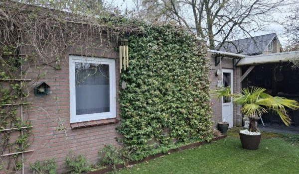 707993519_1471239588378695_1424179919259495452_n-aspect-ratio-800-500