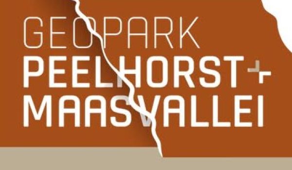 8747100074305112576-aspect-ratio-800-500