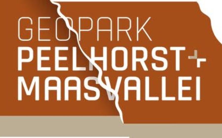 8747100074305112576-aspect-ratio-800-500