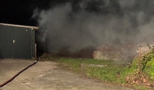 9FD15462-62FA-4944-AD55-B60A8D661139-aspect-ratio-800-500