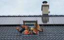 @Klimaatweek.nl_-aspect-ratio-800-500