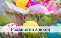 AO-paaseieren-zoeken-aspect-ratio-800-500