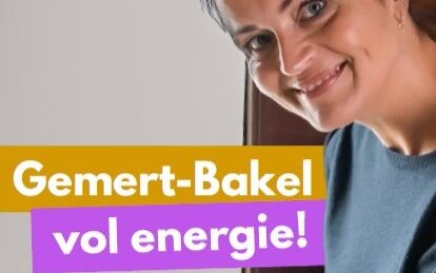 Afbeelding-bij-artikel-Gemert-Bakel-Vol-Energie-aspect-ratio-800-500