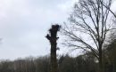 Afbeelding-bij-artikel-over-bomen-in-onze-gemeente-aspect-ratio-800-500