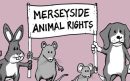 Animal-Rights-aspect-ratio-800-500