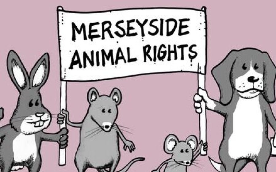 Animal-Rights-aspect-ratio-800-500