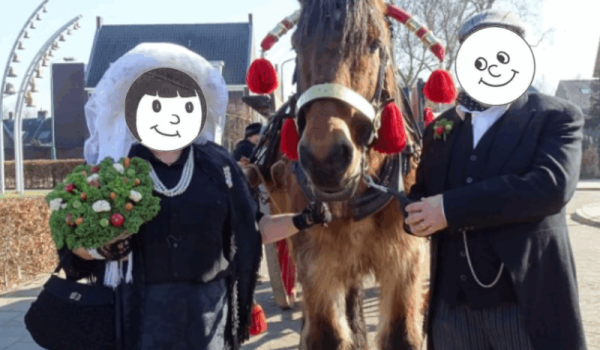 BP2026b-aspect-ratio-800-500