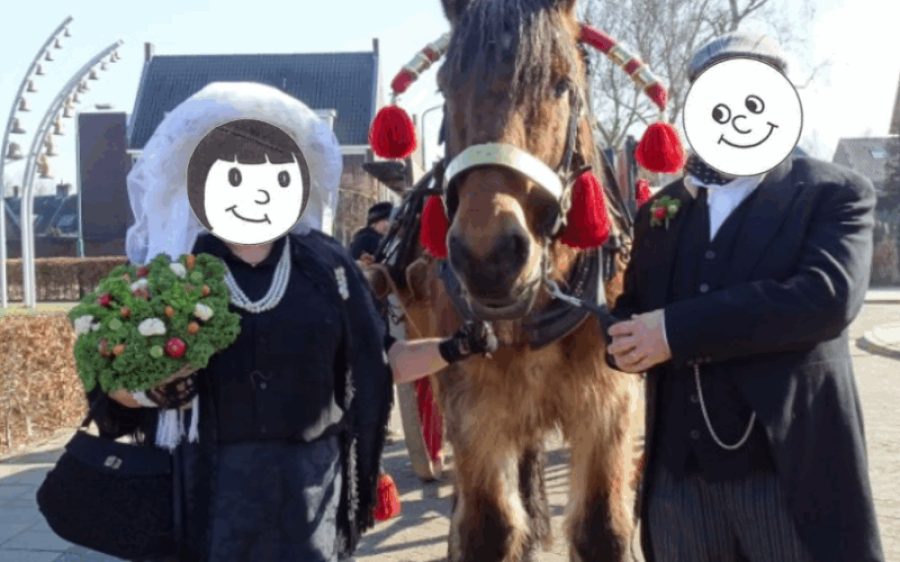 BP2026b-aspect-ratio-800-500