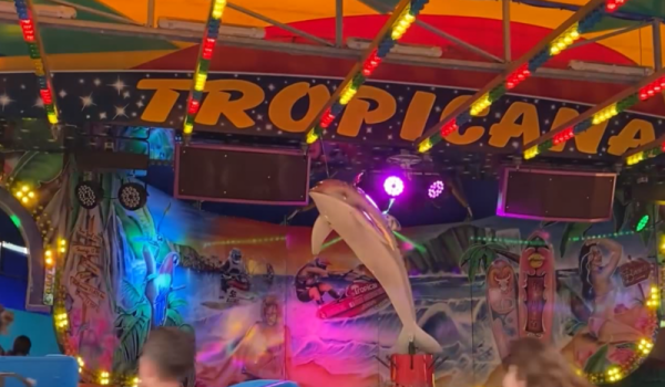 Beek-en-Donk-Kermis-@Walther-van-Kessel-aspect-ratio-800-500