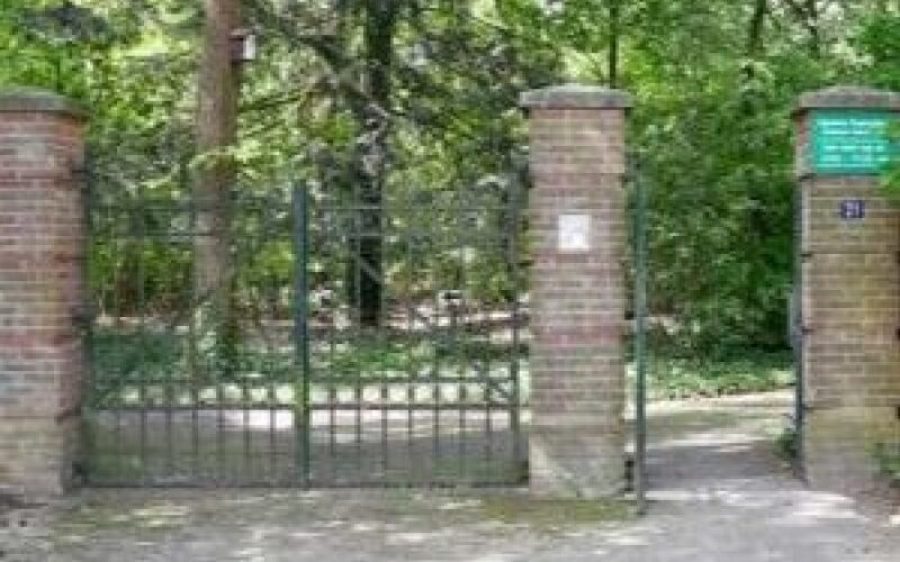 Begraafplaats-PR-aspect-ratio-800-500