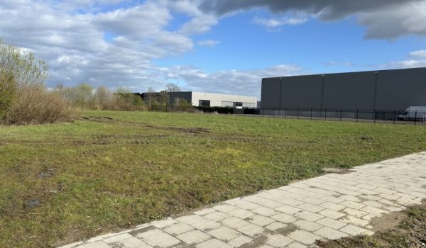 Bemmer-IV-aspect-ratio-800-500