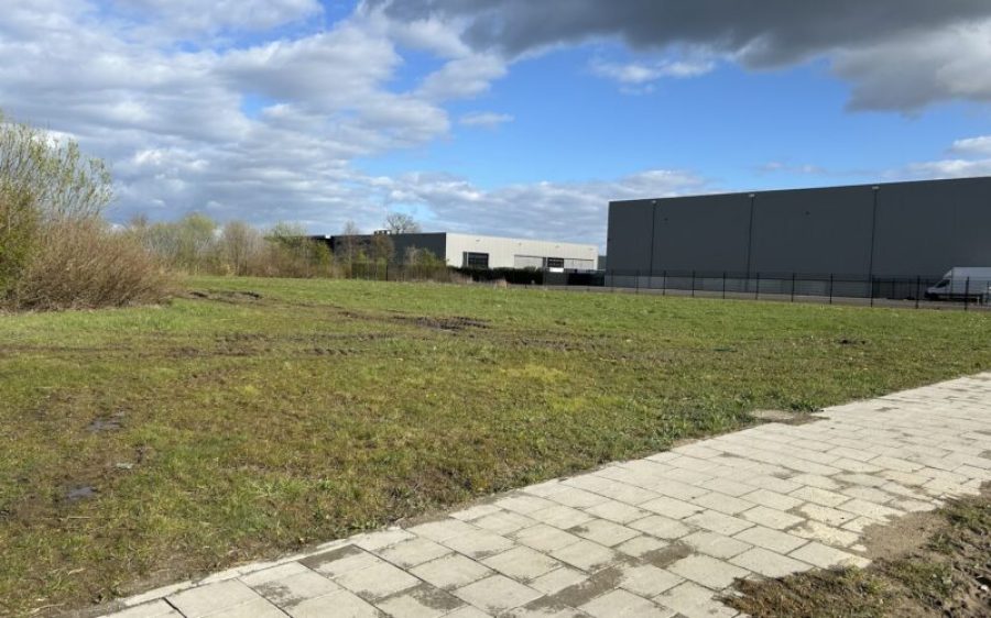 Bemmer-IV-aspect-ratio-800-500