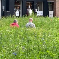 Bloemrijk-Piet-van-Thielplein-aspect-ratio-500-500