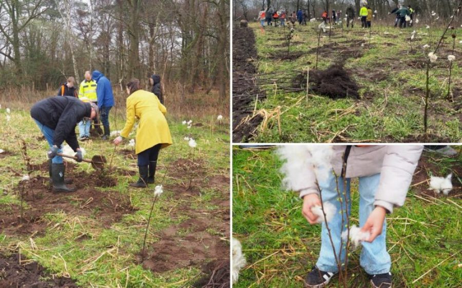 Boomplantdag-De-Pandelaar-aspect-ratio-800-500