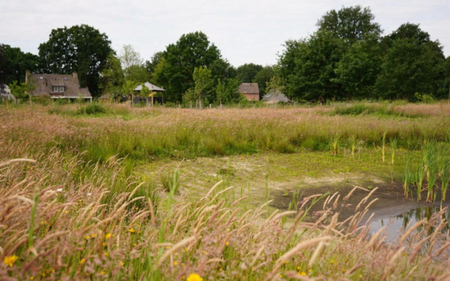 Brabants-Landschasp-aspect-ratio-800-500